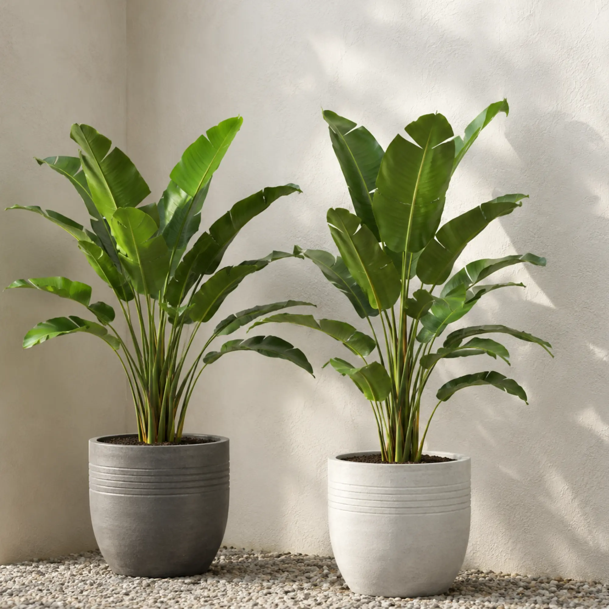 Fiberglass Planters